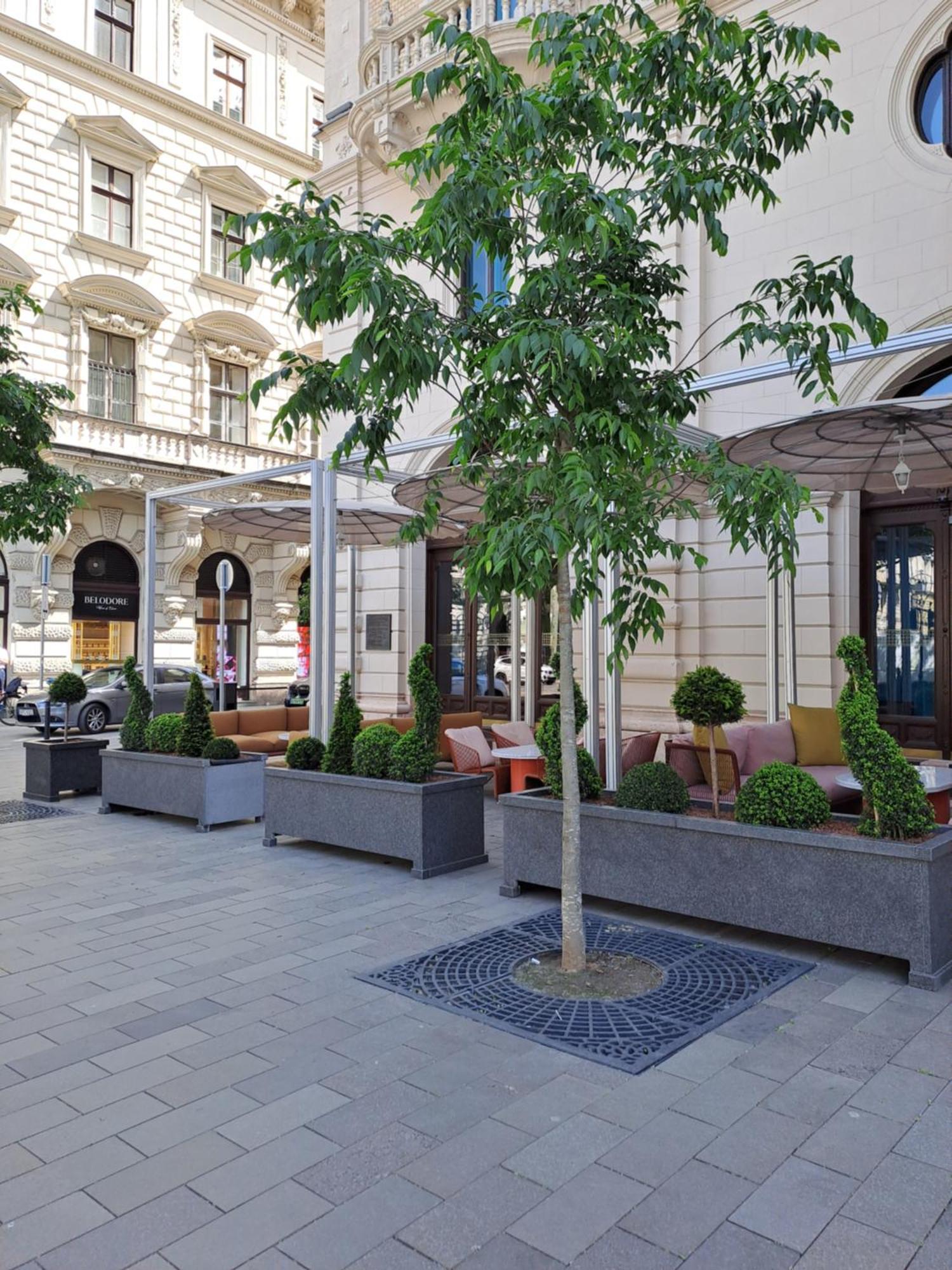 Cute Downtown Apartment Budapest Exterior foto